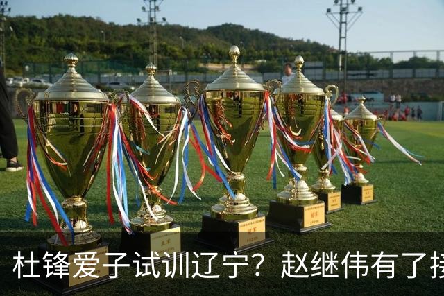 杜锋爱子试训辽宁？赵继伟有了接班人乐坏辽蜜 结果亲妈辟谣了