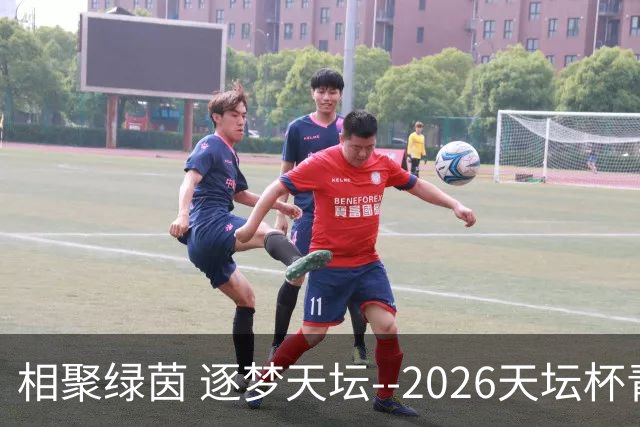相聚绿茵 逐梦天坛--2026天坛杯青少年足球交流火热开启