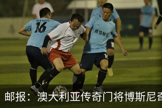 邮报：澳大利亚传奇门将博斯尼奇世界杯宣传活动受伤，面临手术
