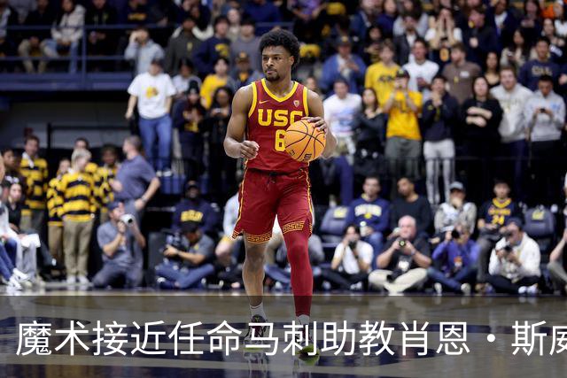 魔术接近任命马刺助教肖恩·斯威尼为主教练