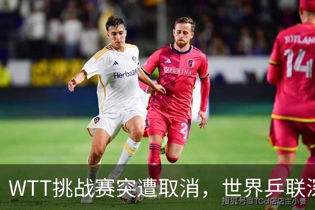 WTT挑战赛突遭取消，世界乒联深表歉意，索林亦感无奈发声