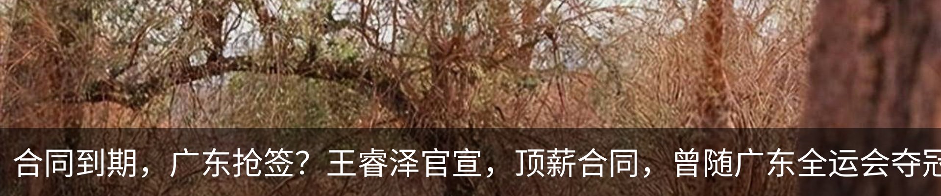 新闻中心