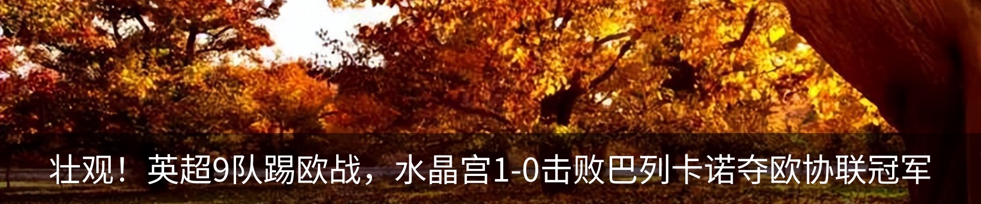 新闻中心