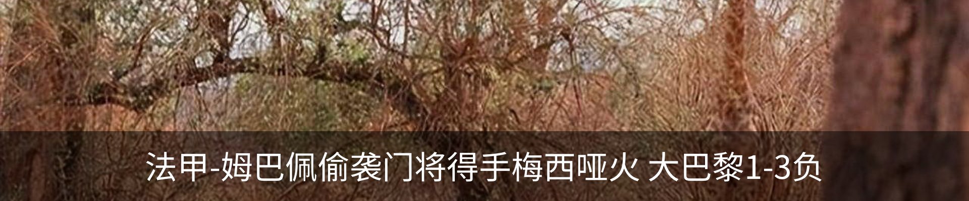 新闻中心